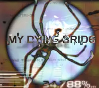 34.788%... Complete