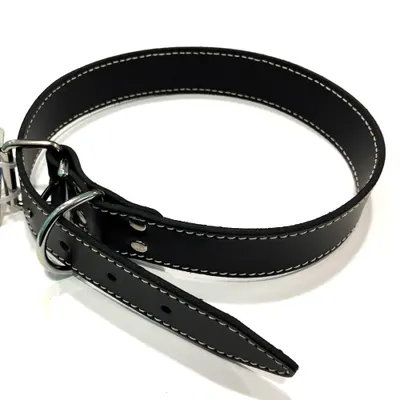 Zgarda din piele, neagra, rezistenta, 40 mm x 700 mm