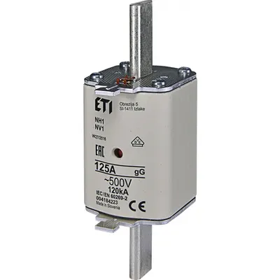 Nh Nh1 Gg 125a/500v