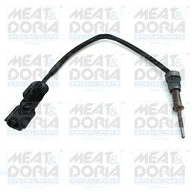 Senzor temperatura evacuare (sirma la supapa AGR) potrivit NISSAN JUKE, NOTE, NV200, NV200 EVALIA, QASHQAI II; RENAULT CAPTUR I, CLIO IV, GRAND SCENIC III, KANGOO EXPRESS 1.5D 02.09