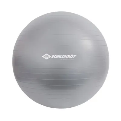 Minge exercitii fitness SCHILDKROT 65 cm