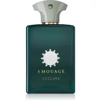 Amouage Enclave Eau de Parfum unisex 100 ml