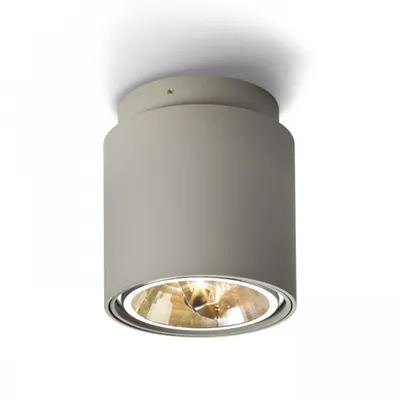 EX 111 Plafoniera cylindrical gri argintiu 230V/12V G53 50W