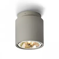 EX 111 Plafoniera cylindrical gri argintiu 230V/12V G53 50W