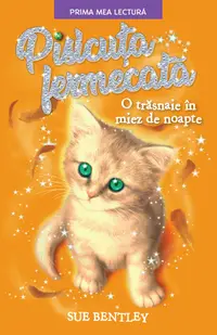 Pisicuța fermecată. O trăsnaie în miez de noapte