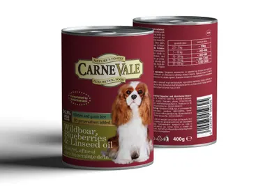 Carnevale Dog Cons Mistret/Afine/Ulei In 400 g