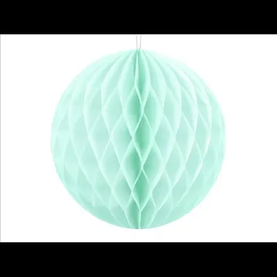 Honeycomb mint 10 cm