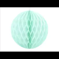 Honeycomb mint 10 cm
