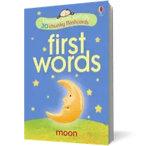 Look And Say Flashcards First Words