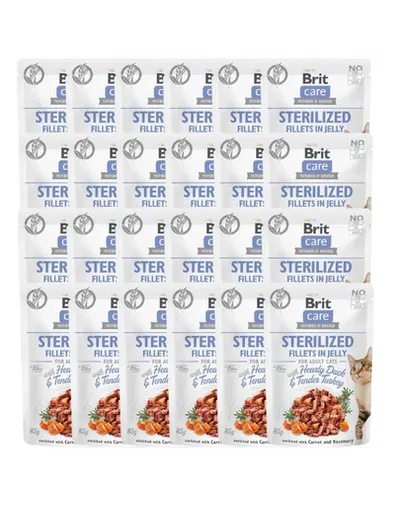 BRIT Care Sterilized Fillets in Jelly Set hrana umeda pentru pisici sterilizate, cu rata si curcan 24 x 85 g