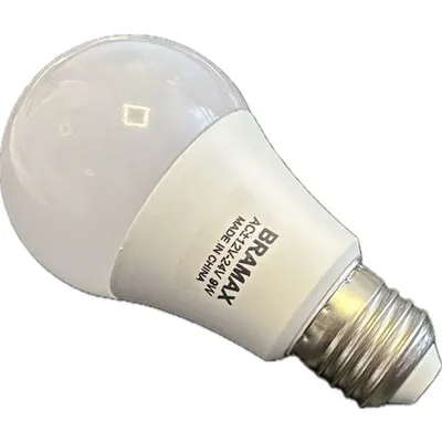 Bec Led A65 12w E27 6400k 24v Ac/dc