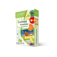 Joc de memorie Raspundel Istetel Lumea Sunetelor