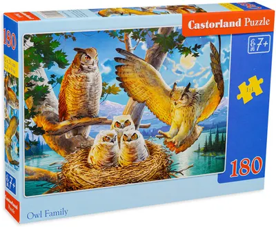 Puzzle Castorland din 180 de piese - Owl Family
