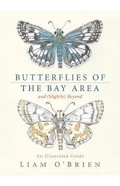 Butterflies of the Bay Area and (Slightly) Beyond: An Illustrated Guide