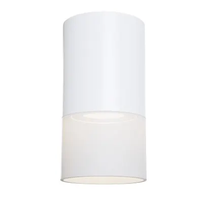Corp de iluminat pentru tavan Pauline - H(min) 131mm, H(max) 131mm, ⌀ 64mm , White, 1 X GU10 (10W), Aluminum, Acrylic, 0.23kg