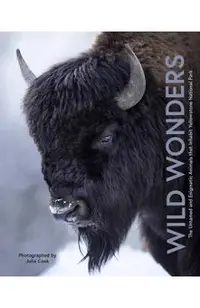Wild Wonders