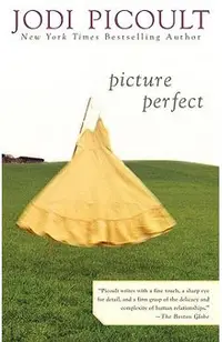 Picture Perfect