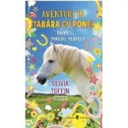Aventuri in tabara cu ponei. Poppy si poneiul perfect