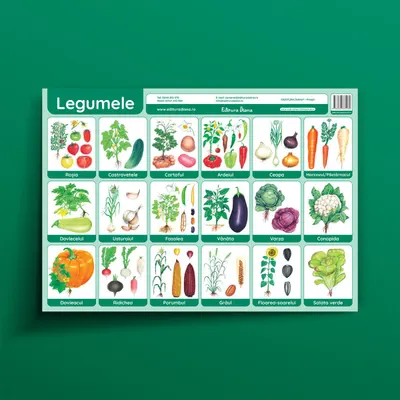 Legume