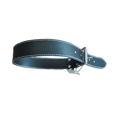 Zgarda Pentru Caini P Nr. 4, Negru 3.0/62 cm