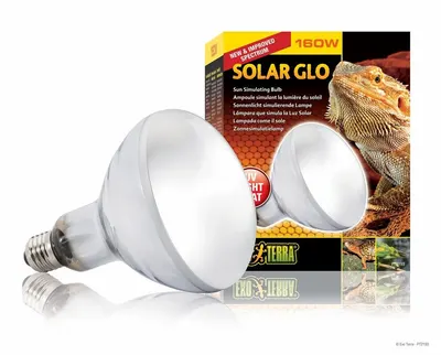 Exo Terra Bec Solar GLO 160 W PT2193