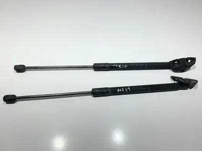 Set telescoape haion 844300009R Renault Megane 3 facelift (2012-2016)