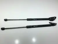 Set telescoape haion 844300009R Renault Megane 3 (2008-2012)