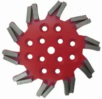 Disc stea cu segmenti diamantati pt. slefuire pardoseli - segment fin - Rosu - 250 mm - prindere 19mm - DXDH.8501.250.11.63