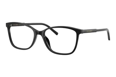 Dolce & Gabbana DG3424 501
