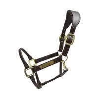 Kentucky Anatomische Leder Halster Bruin -