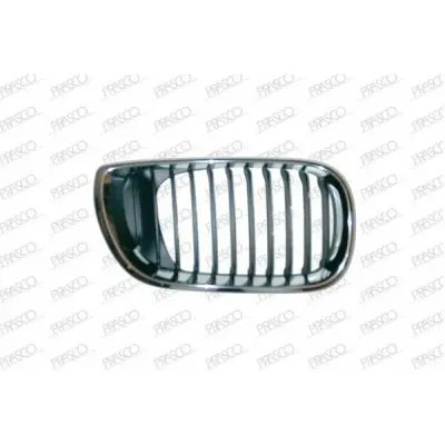 Grila radiator PRASCO BM0202003