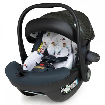 Scaun auto Cosatto Acorn 2 Bureau I-Size, Certificare ADAC, Insertii moi, Husa detasabila, Copertina reglabila