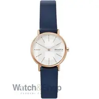 Ceas Skagen Signatur SKW2838