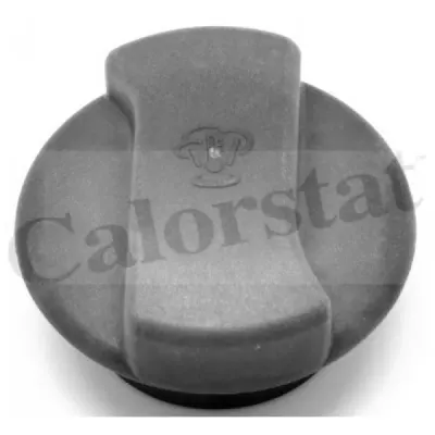 Buson, vas expansiune CALORSTAT by Vernet RC0015