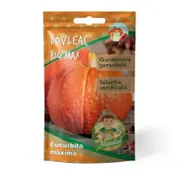 Seminte Dovleac Big Max, Agrocosm