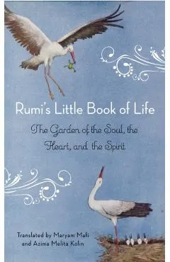 Rumi's Little Book of Life