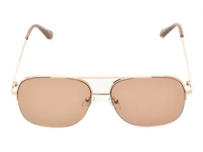 Ochelari de soare ALDO maro, HEYDI 200, din metal