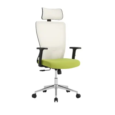 Scaun Birou Ergonomic Cu Suport Cervical Si Design Modern, Alb-Verde