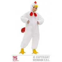 Costum gaina