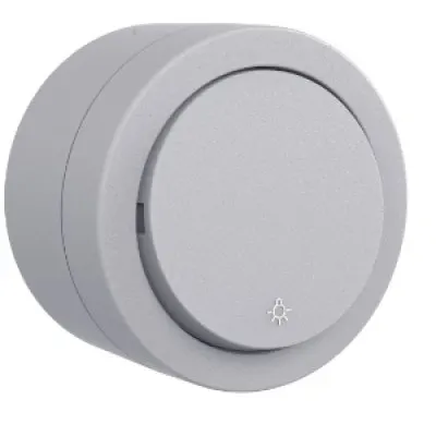 Intrerupator cu Revenire PT xOne Ovivo OV00898, 10A, 250V, IP20, gri