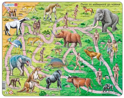 Puzzle educațional Larsen din 83 piese - Evoluţie