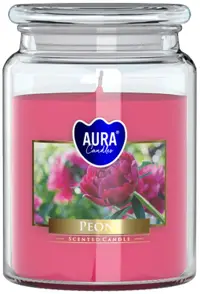 Lumânare parfumată Bispol Aura - Peony, 500 g