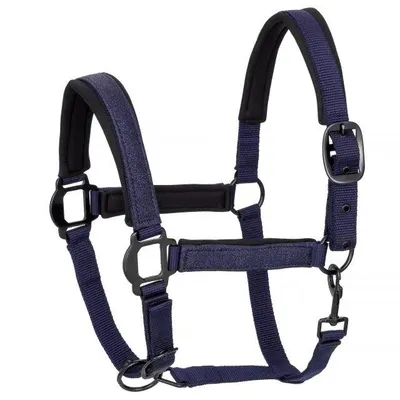 Căpăstru de călărie START Neoprene Glitter2tone cu sclipici pentru cal și ponei