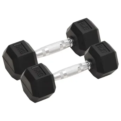 vidaXL Gantere, 2 buc., 5 kg, total fontă
