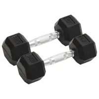 vidaXL Gantere, 2 buc., 5 kg, total fontă