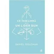 Ce inseamna sa fii un lider bun. De ce este importanta inteligenta emotionala