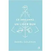 Ce inseamna sa fii un lider bun. De ce este importanta inteligenta emotionala