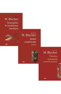 Pachet 3 carti. Pachet de autor M. Blecher
