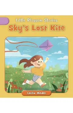 Sky's Lost Kite