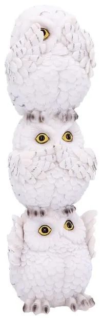 Statuetă Nemesis Now Adult: Humor - Wisest Totem, 20 cm